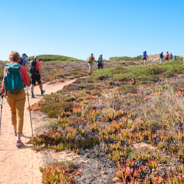 #5 - Rota Vicentina from A to Z - Complete